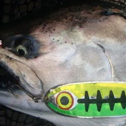 Ice Strong ProKing Magnum Spoons